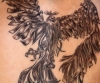 Phönix Detail
