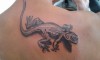 Lizard