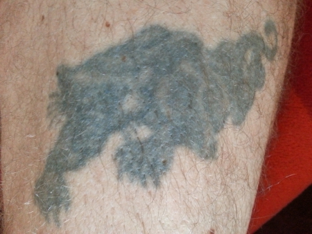 Meine Gurke (25 Jahre alt). War mal ein schwarzer Panther :-))