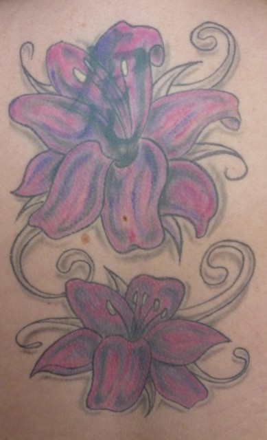Mieses Cover-up