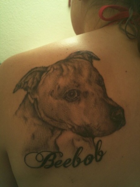 Der beste Freund