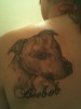 Der beste Freund