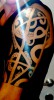 Maori Freihand 