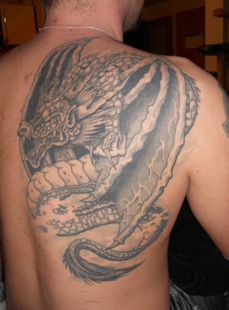 Drache 