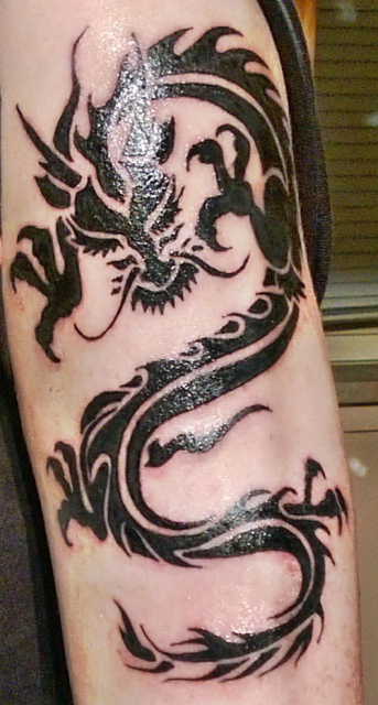 Tribal Drache (mein erstes Tattoo)