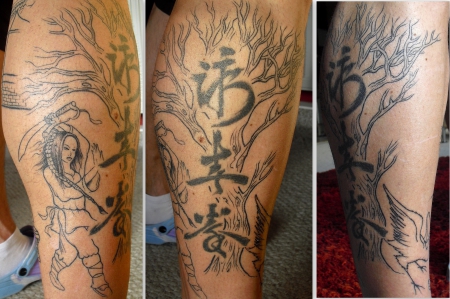 Sleeve Chinesisch (Bildergeschichte zur Legende des Wing Tsun Kung Fu) -in Bearbeitung-