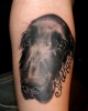 Athos Hund