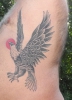 Flying Eagle