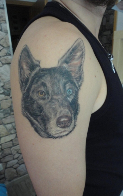 Tattoo meines Hundes 