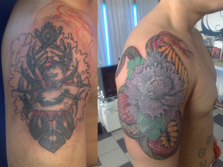 cover up