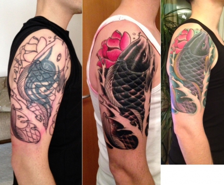 Koi Cover-Up