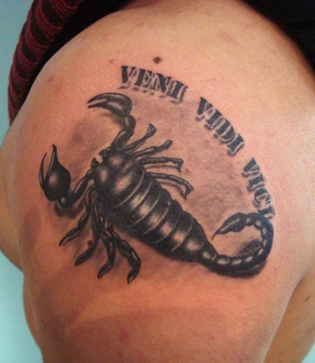 skorpion-Tattoo: schwarzer skorpion