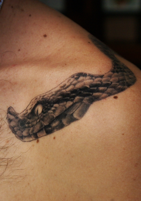 Snake  POSKOK tat2