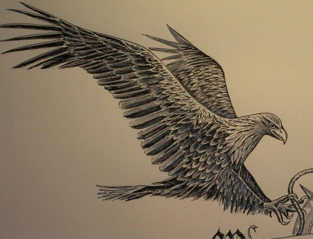 Detail Adler