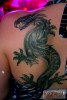 Drago
