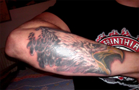 Schreiender Adler