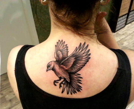 taube-Tattoo: Vögelchen (vogel)