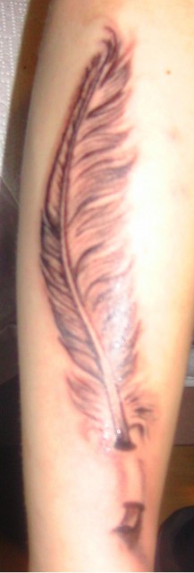 Suchergebnisse für 'Feder'Tattoos TattooBewertung.de Lass Deine