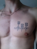 Kolben, EKG