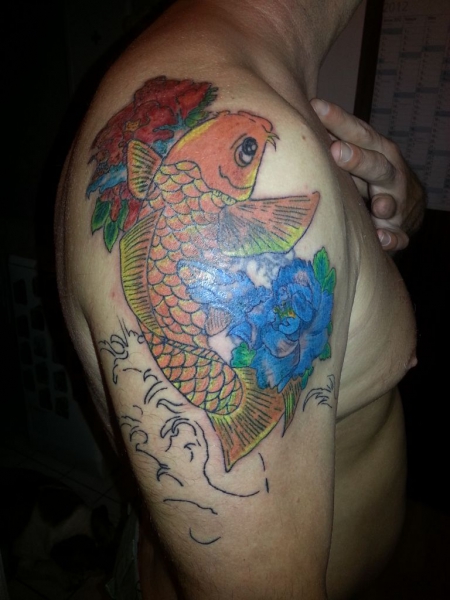 Koi