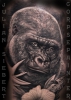 Gorilla Portrait von Julian Siebert