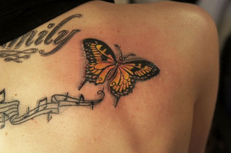 Schmetterling (nur der Schmetterling)