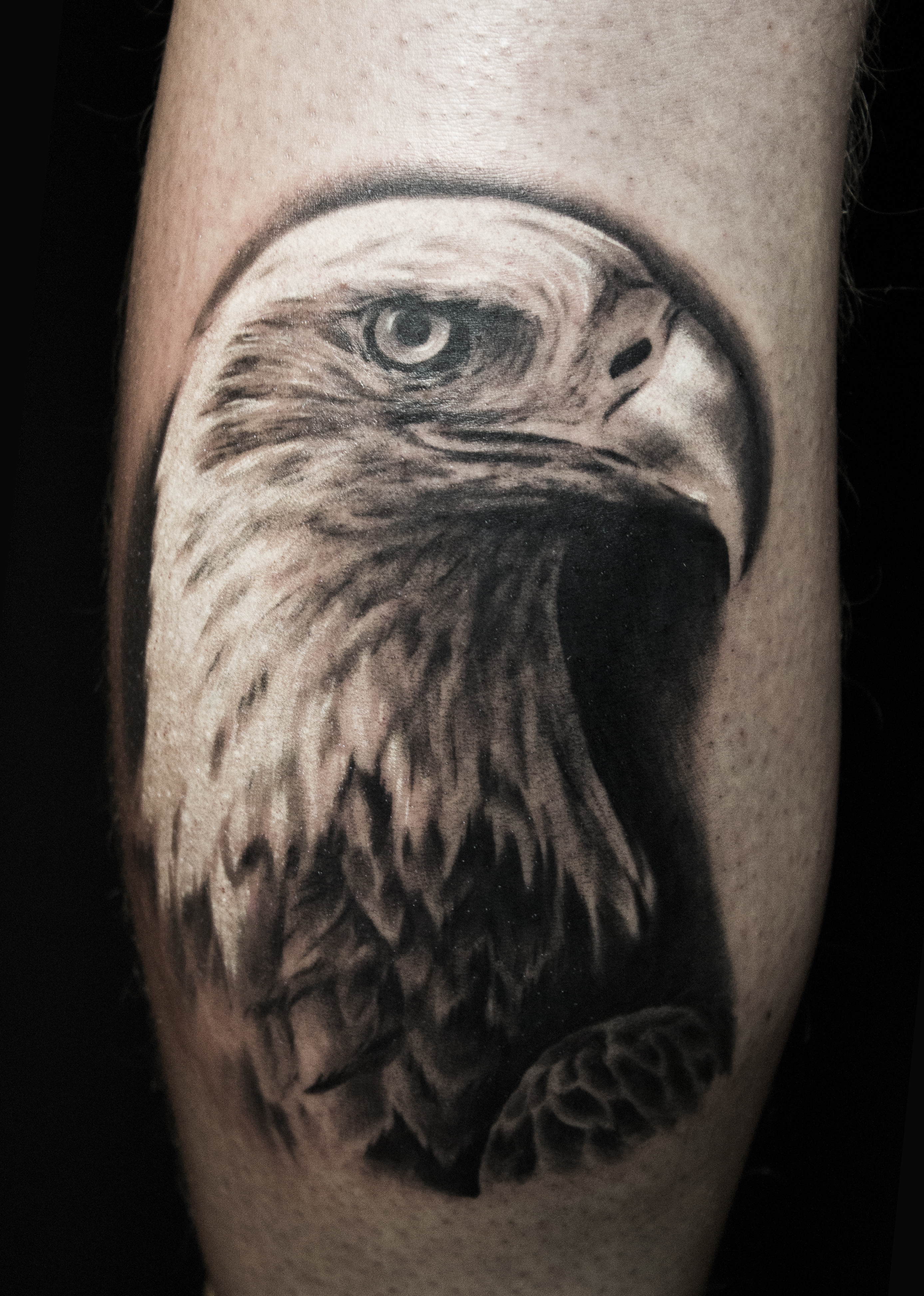 Selfmadetattooberlin Schwarz Weiss Realitisch Adler Tattoo Tattoos Von Tattoo Bewertung De
