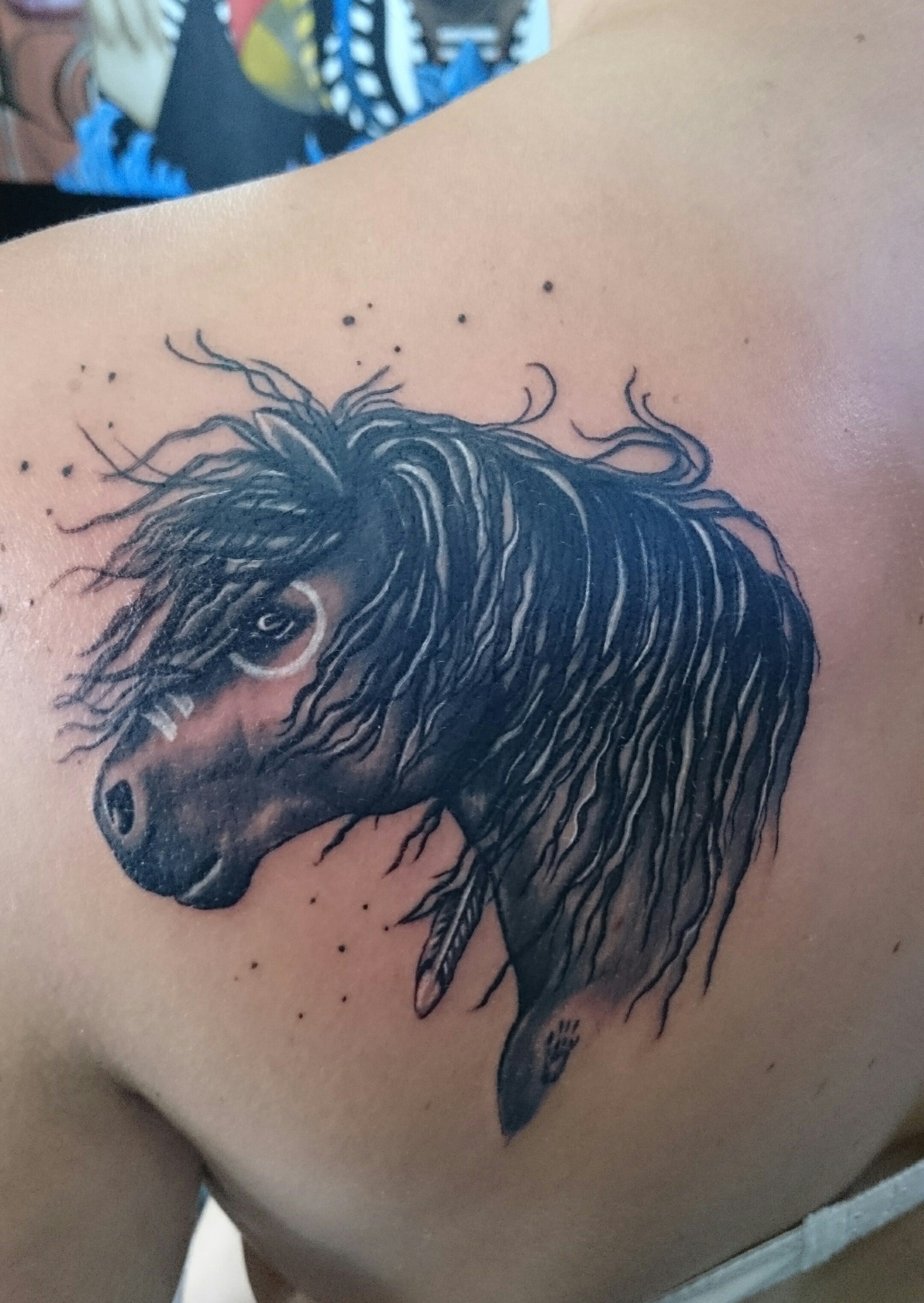 Indianer Auf Pferd Tattoo Seite 4 | Horse Tattoo Bilder Kostenloser