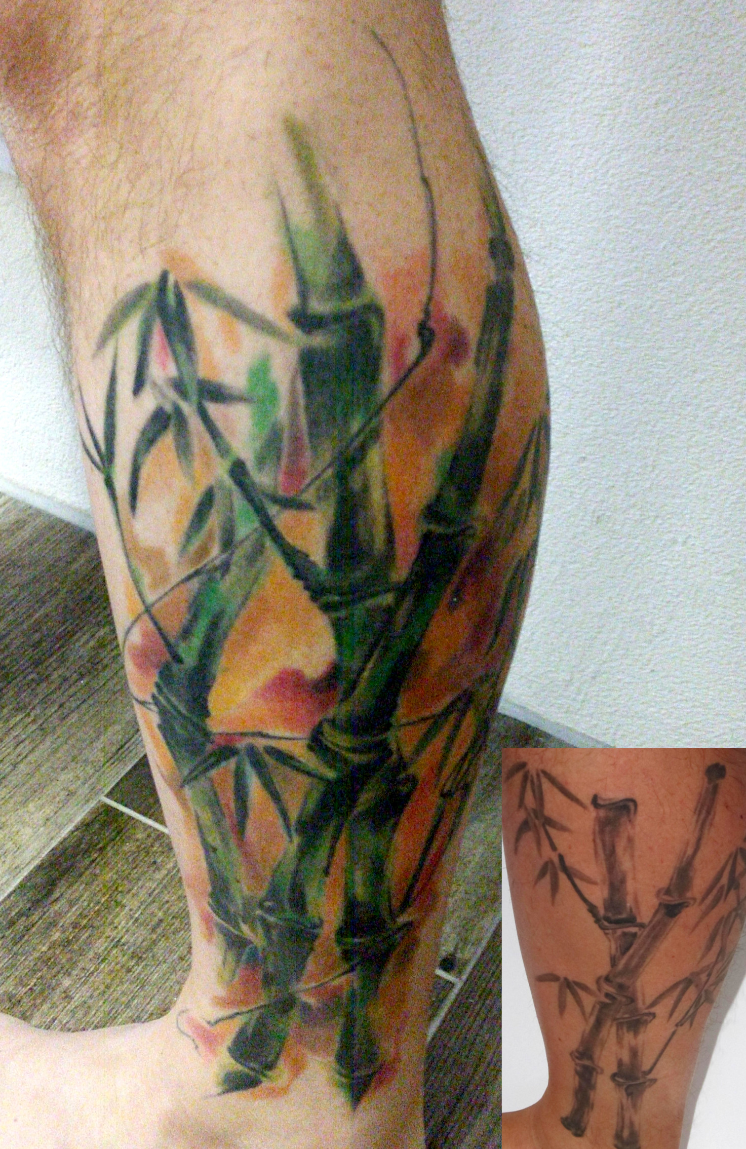 qviter: Bambus | Tattoos von Tattoo-Bewertung.de