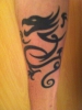 Sick of it all Drache am linken Unterarm