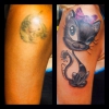 CoverUp Katze