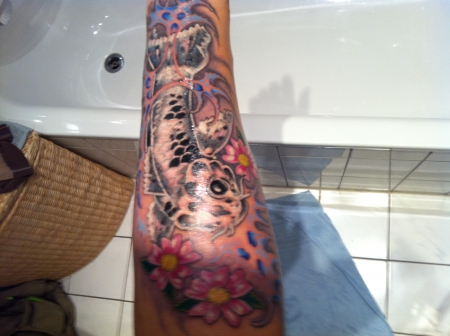 Koi