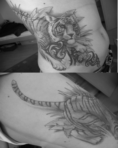 Tiger Coverup