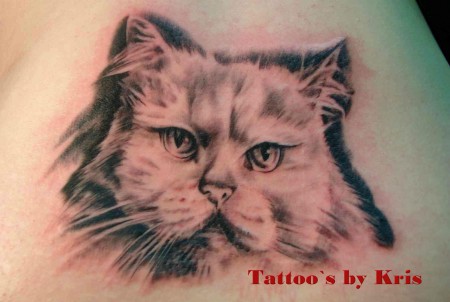 Katze