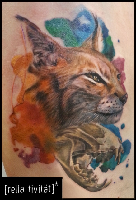 Luchs, Schädel und Aquarell