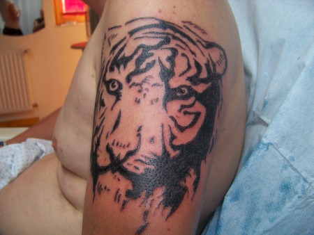 so ne art triabal Tiger