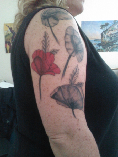 Mohnblumen