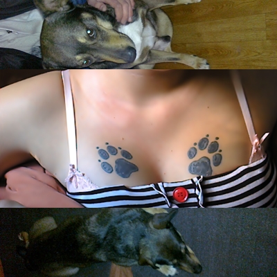 Von mein Hund die Tazen 