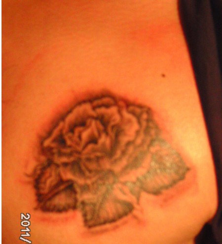 Rose halt ..!