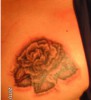 Rose halt ..!