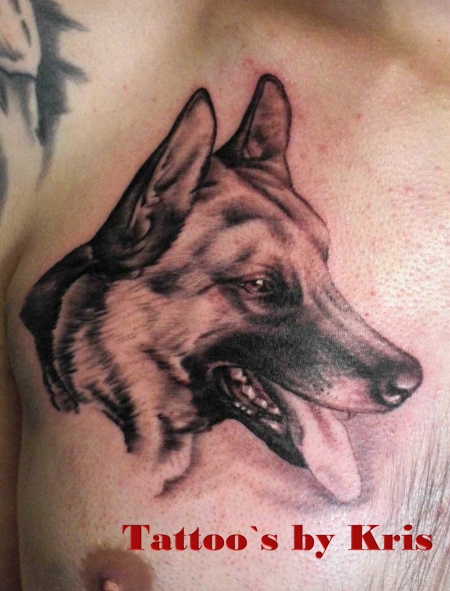 Schäferhund