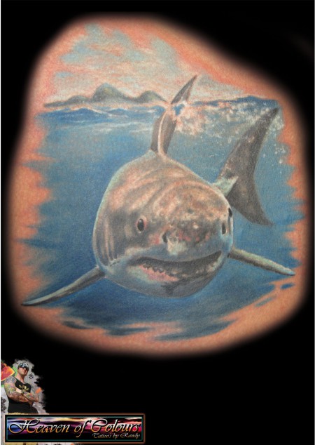 shark