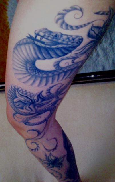 black and white snake
