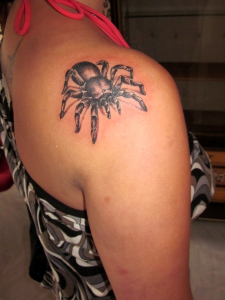 Spinne auf Schulter