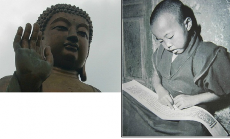Fotos von meinem Buddha