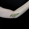 Realistisches Farnblatt Tattoo