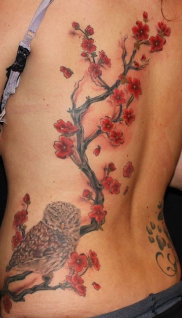 eule-Tattoo: Eule mit Kirschblütenast