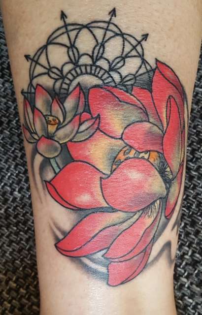 Lotusblüte