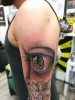 Auge