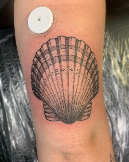 Blackwork Sea Shell Tattoo